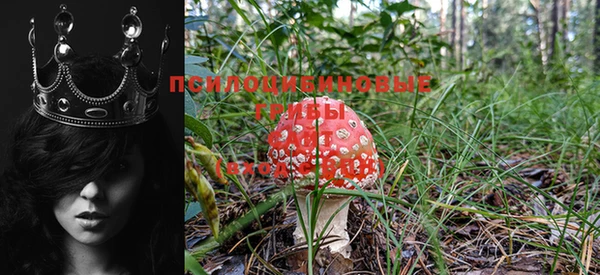 MDMA Кулебаки